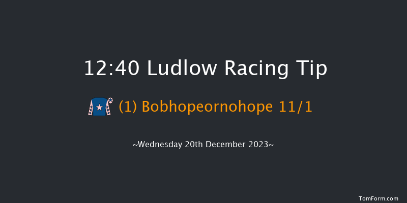 Ludlow 12:40 Handicap Chase (Class 3) 24f Wed 6th Dec 2023