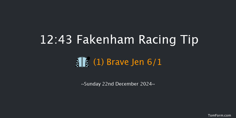 Fakenham  12:43 Handicap Hurdle (Class 5) 16f Tue 19th Nov 2024