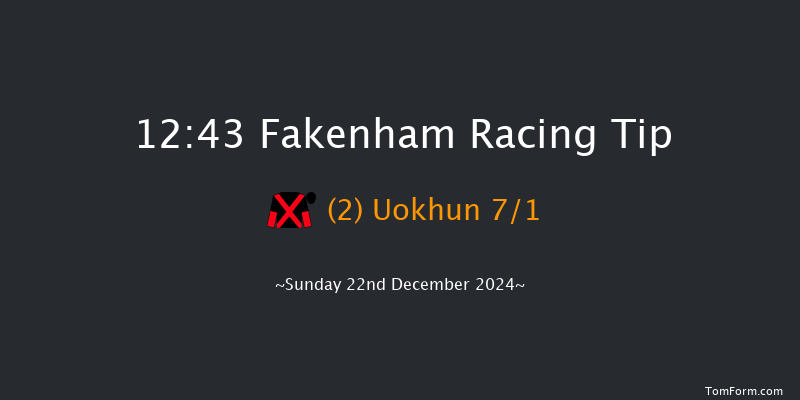 Fakenham  12:43 Handicap Hurdle (Class 5) 16f Tue 19th Nov 2024