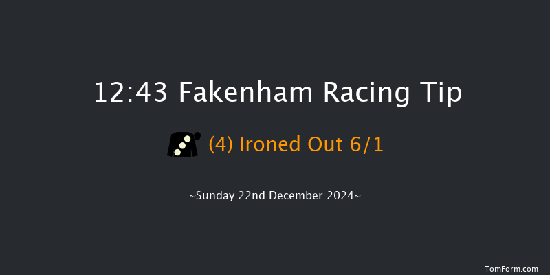 Fakenham  12:43 Handicap Hurdle (Class 5) 16f Tue 19th Nov 2024