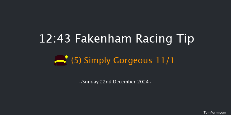 Fakenham  12:43 Handicap Hurdle (Class 5) 16f Tue 19th Nov 2024