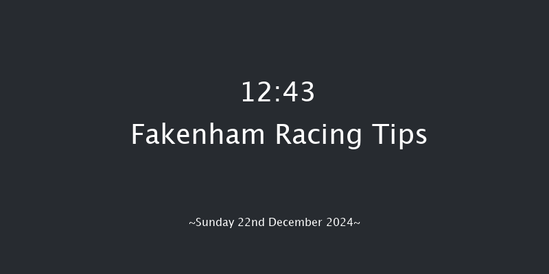 Fakenham  12:43 Handicap Hurdle (Class 5) 16f Tue 19th Nov 2024