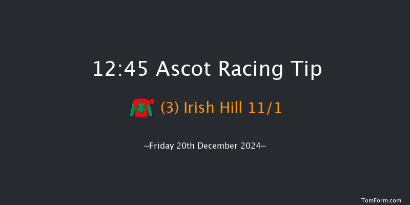 Ascot  12:45 Handicap Hurdle (Class 3) 22f Sat 23rd Nov 2024