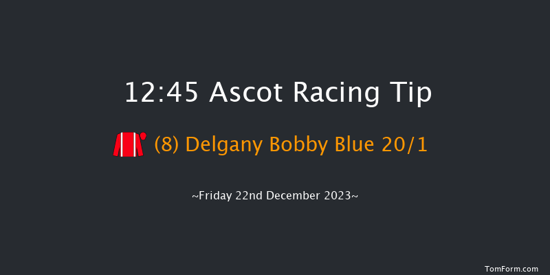 Ascot 12:45 Handicap Hurdle (Class 3) 22f Sat 25th Nov 2023