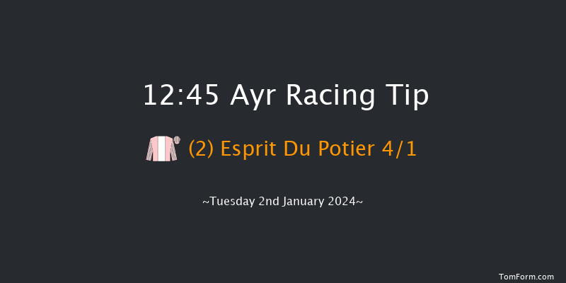 Ayr 12:45 Maiden Hurdle (Class 4) 20f Wed 20th Dec 2023