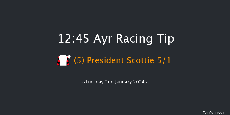 Ayr 12:45 Maiden Hurdle (Class 4) 20f Wed 20th Dec 2023