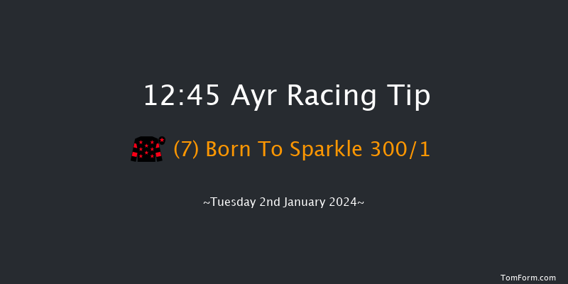 Ayr 12:45 Maiden Hurdle (Class 4) 20f Wed 20th Dec 2023