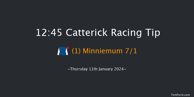 Catterick 12:45 Handicap Hurdle (Class 5) 25f Mon 1st Jan 2024