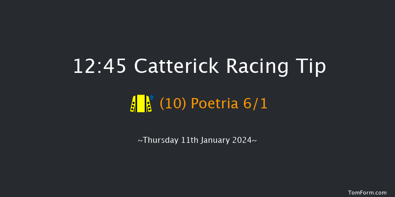 Catterick 12:45 Handicap Hurdle (Class 5) 25f Mon 1st Jan 2024