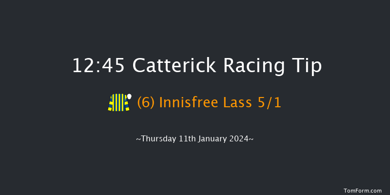 Catterick 12:45 Handicap Hurdle (Class 5) 25f Mon 1st Jan 2024