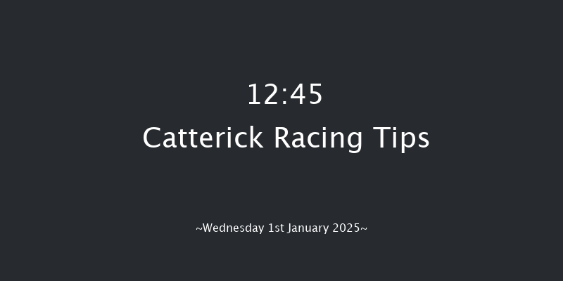 Catterick  12:45 Maiden Hurdle (Class 4) 19f Sat 28th Dec 2024