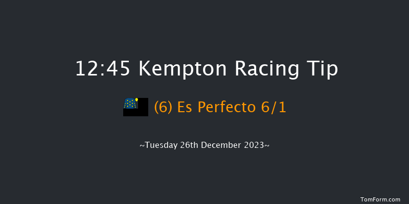 Kempton 12:45 Handicap Chase (Class 3) 20f Wed 20th Dec 2023