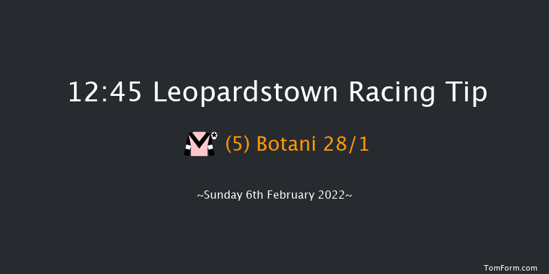 Leopardstown 12:45 Handicap Hurdle 18f Sat 5th Feb 2022