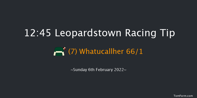 Leopardstown 12:45 Handicap Hurdle 18f Sat 5th Feb 2022