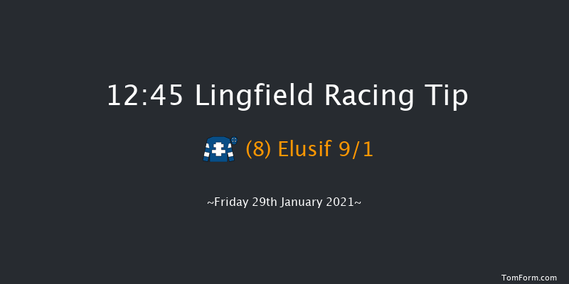 Bombardier British-Hopped Amber Beer Handicap (Div 2) Lingfield 12:45 Handicap (Class 6) 7f Wed 27th Jan 2021