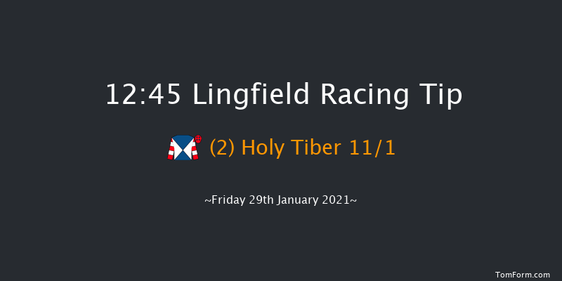 Bombardier British-Hopped Amber Beer Handicap (Div 2) Lingfield 12:45 Handicap (Class 6) 7f Wed 27th Jan 2021