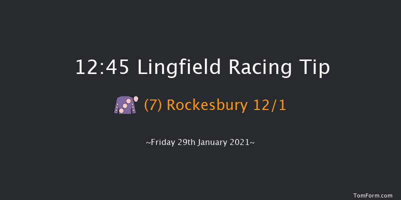 Bombardier British-Hopped Amber Beer Handicap (Div 2) Lingfield 12:45 Handicap (Class 6) 7f Wed 27th Jan 2021