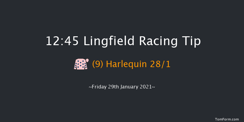 Bombardier British-Hopped Amber Beer Handicap (Div 2) Lingfield 12:45 Handicap (Class 6) 7f Wed 27th Jan 2021