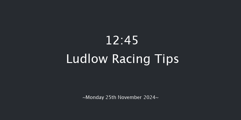 Ludlow  12:45 Maiden Hurdle (Class 4) 16f Thu 7th Nov 2024