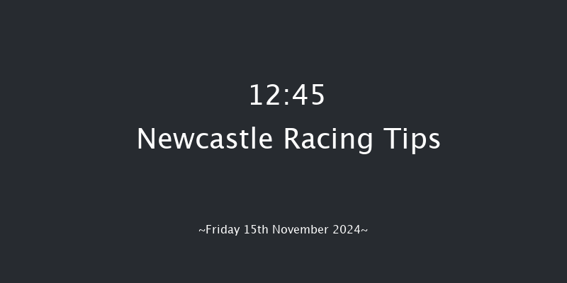 Newcastle  12:45 Handicap Hurdle (Class 4) 24f  Mon 11th Nov 2024