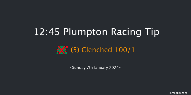 Plumpton 12:45 Conditions Hurdle (Class 3) 16f Mon 18th Dec 2023