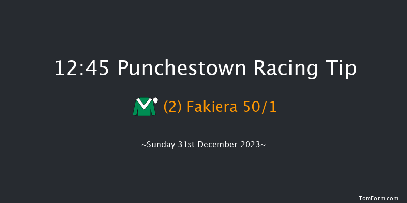 Punchestown 12:45 Maiden Chase 24f Tue 12th Dec 2023