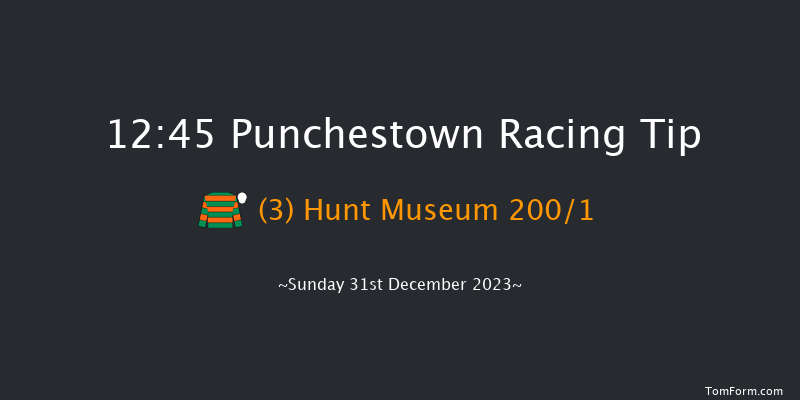 Punchestown 12:45 Maiden Chase 24f Tue 12th Dec 2023