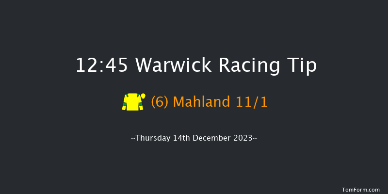 Warwick 12:45 Maiden Hurdle (Class 4) 21f Wed 22nd Nov 2023