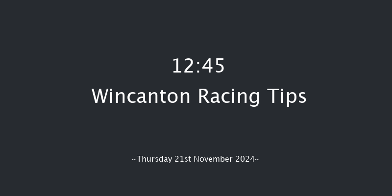 Wincanton  12:45 Handicap Hurdle (Class 5) 20f Sat 9th Nov 2024