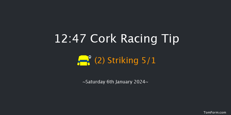 Cork 12:47 Maiden Hurdle 16f Sun 10th Dec 2023