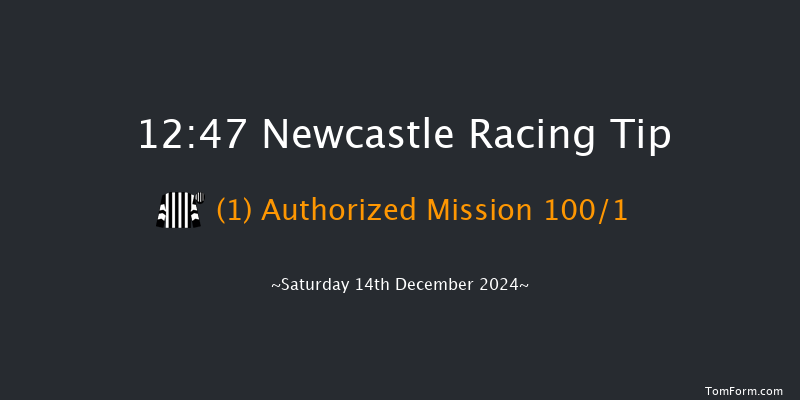 Newcastle  12:47 Maiden Hurdle (Class 4) 17f Thu 12th Dec 2024