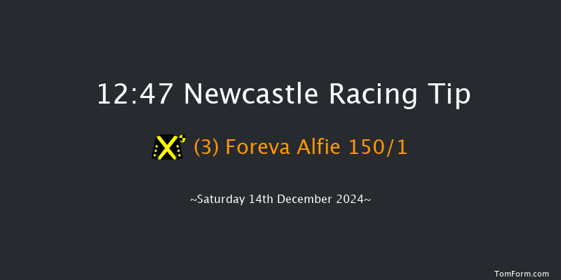 Newcastle  12:47 Maiden Hurdle (Class 4) 17f Thu 12th Dec 2024