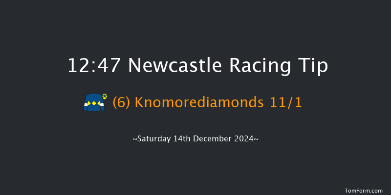 Newcastle  12:47 Maiden Hurdle (Class 4) 17f Thu 12th Dec 2024