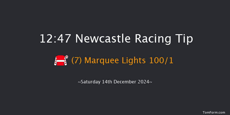 Newcastle  12:47 Maiden Hurdle (Class 4) 17f Thu 12th Dec 2024