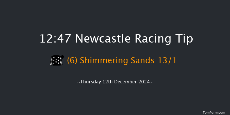 Newcastle  12:47 Handicap (Class 4) 10f Fri 6th Dec 2024