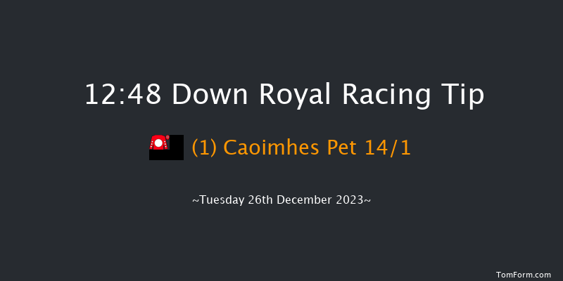 Down Royal 12:48 Handicap Hurdle 17f Sat 11th Nov 2023