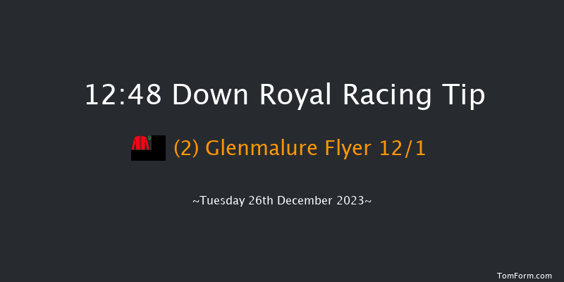 Down Royal 12:48 Handicap Hurdle 17f Sat 11th Nov 2023