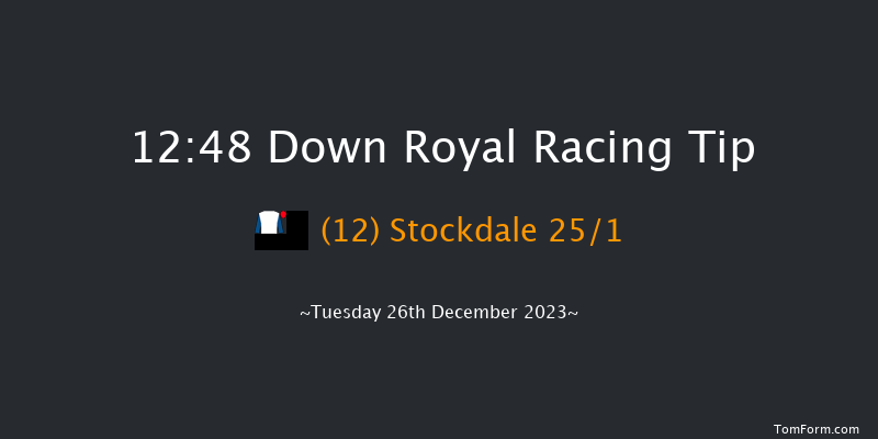 Down Royal 12:48 Handicap Hurdle 17f Sat 11th Nov 2023