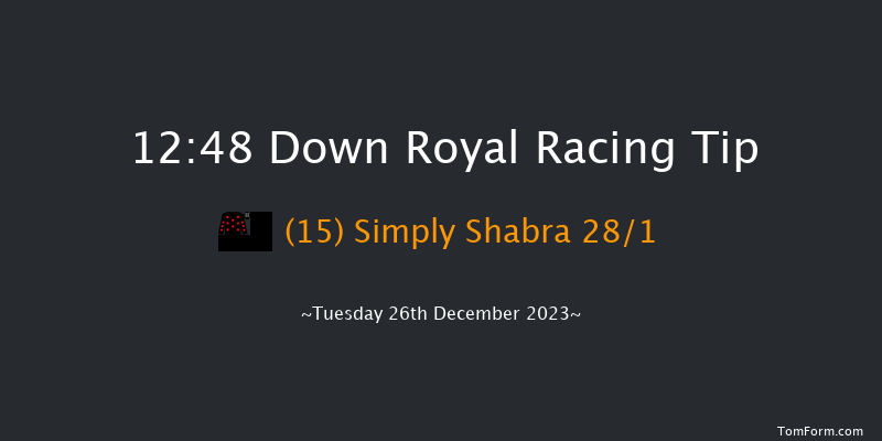 Down Royal 12:48 Handicap Hurdle 17f Sat 11th Nov 2023