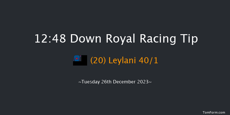 Down Royal 12:48 Handicap Hurdle 17f Sat 11th Nov 2023