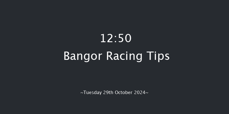 Bangor-on-dee  12:50 Handicap Hurdle (Class 4) 23f Fri 6th Sep 2024