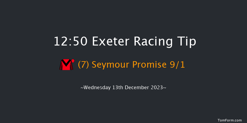 Exeter 12:50 Handicap Chase (Class 5) 24f Sun 26th Nov 2023