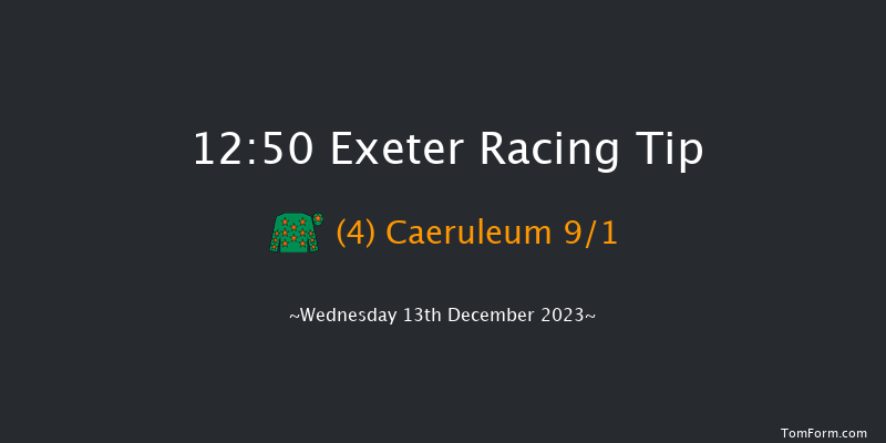 Exeter 12:50 Handicap Chase (Class 5) 24f Sun 26th Nov 2023