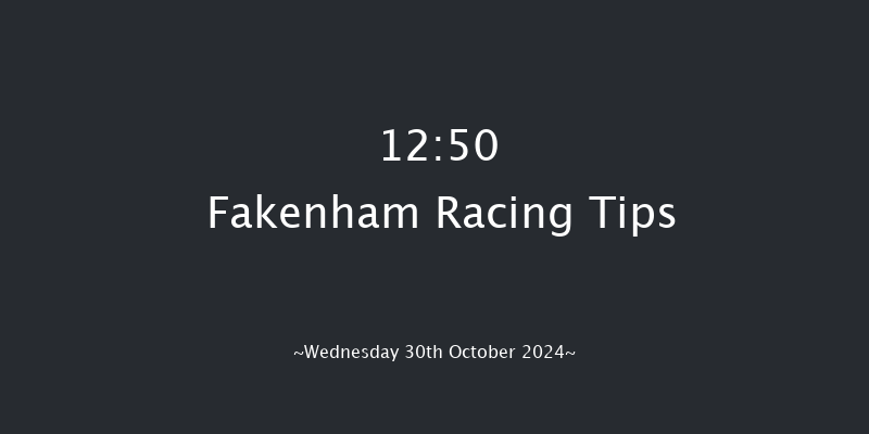 Fakenham  12:50 Handicap Hurdle (Class 5) 20f Fri 18th Oct 2024