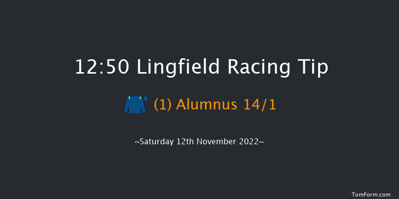 Lingfield 12:50 Maiden (Class 5) 10f Tue 8th Nov 2022