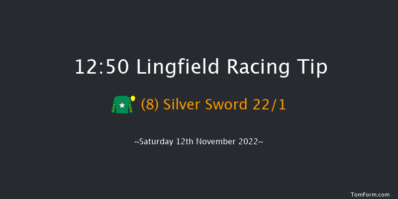 Lingfield 12:50 Maiden (Class 5) 10f Tue 8th Nov 2022