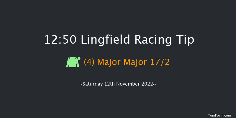 Lingfield 12:50 Maiden (Class 5) 10f Tue 8th Nov 2022