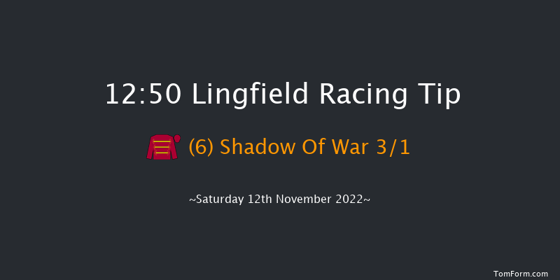 Lingfield 12:50 Maiden (Class 5) 10f Tue 8th Nov 2022