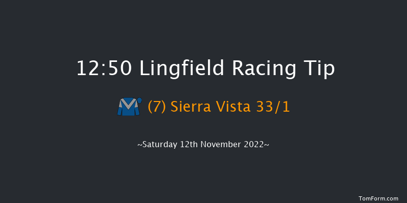 Lingfield 12:50 Maiden (Class 5) 10f Tue 8th Nov 2022