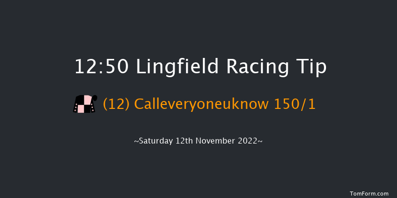 Lingfield 12:50 Maiden (Class 5) 10f Tue 8th Nov 2022